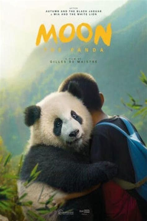 Moon, der Panda 2025